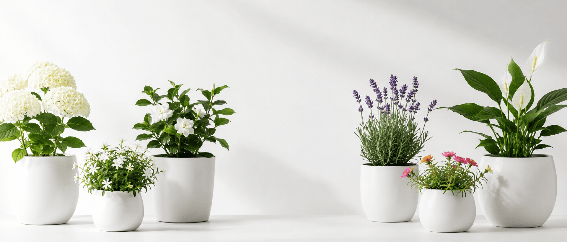Pure Green Elegance for Every Space